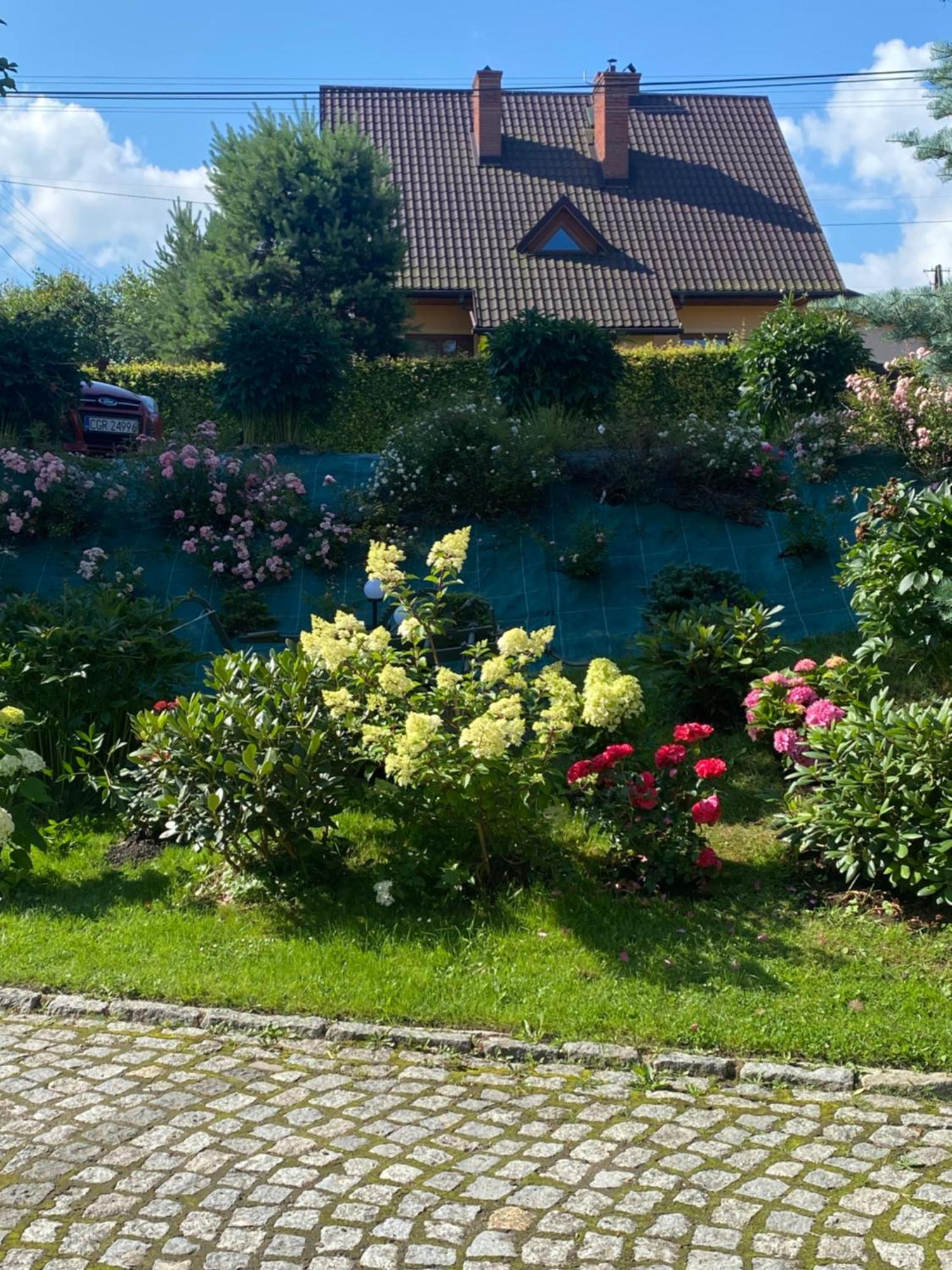 Pokoje U Jasia I Malgosi Skawa Buitenkant foto