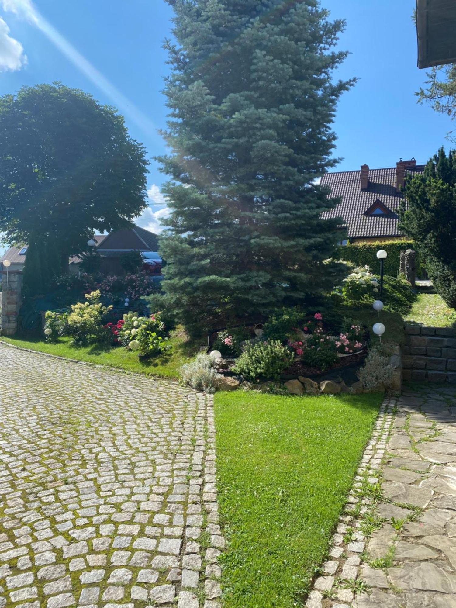 Pokoje U Jasia I Malgosi Skawa Buitenkant foto